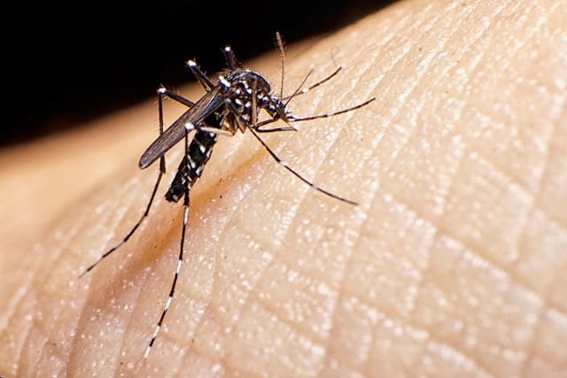 Santiago encabeza los casos de dengue confirmados