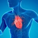 Cambios en el estilo de vida pueden reducir muertes por enfermedades cardiovasculares en República Dominicana 8 La Sociedad Dominicana de Cardiología recomienda cambios en el estilo de vida para reducir muertes por enfermedades cardíacas.