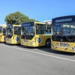 TRAE transforma el transporte escolar en República Dominicana con seguridad, inclusión y empleo 6 TRAE garantiza transporte escolar seguro, inclusivo y gratuito para miles de estudiantes en República Dominicana, mejorando el acceso a la educación.
