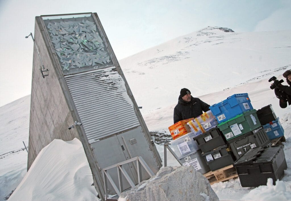 El Arca Vegetal de Svalbard: el refugio global que protege el futuro de la alimentación humana 9 El Arca Vegetal de Svalbard: el refugio global que protege el futuro de la alimentación humana
