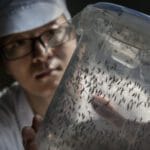 Virólogo alerta sobre posible prolongación de virus respiratorios y riesgos de dengue en 2025 8 Virólogo alerta sobre posible prolongación de virus respiratorios y riesgos de dengue en 2025