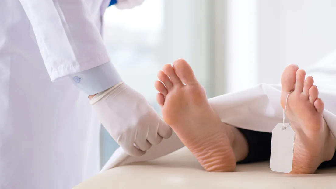Científicos proponen crear cuerpos sintéticos sin conciencia para trasplantes y ensayos médicos, reduciendo la dependencia de órganos humanos y animales.
