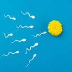 La calidad del semen podría ser un indicador clave de la longevidad masculina, revela estudio 7 La calidad del semen podría ser un indicador clave de la longevidad masculina, revela estudio