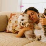 Tener una mascota mejora el bienestar tanto como el matrimonio, según estudio 7 Un estudio revela que tener perro o gato mejora la felicidad tanto como el matrimonio o un ingreso elevado.