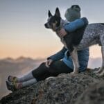Adoptar una mascota no es la solución para la soledad, revela investigación 10 Un estudio húngaro revela que adoptar una mascota, especialmente un perro, no mejora el bienestar a largo plazo y puede aumentar la ansiedad.