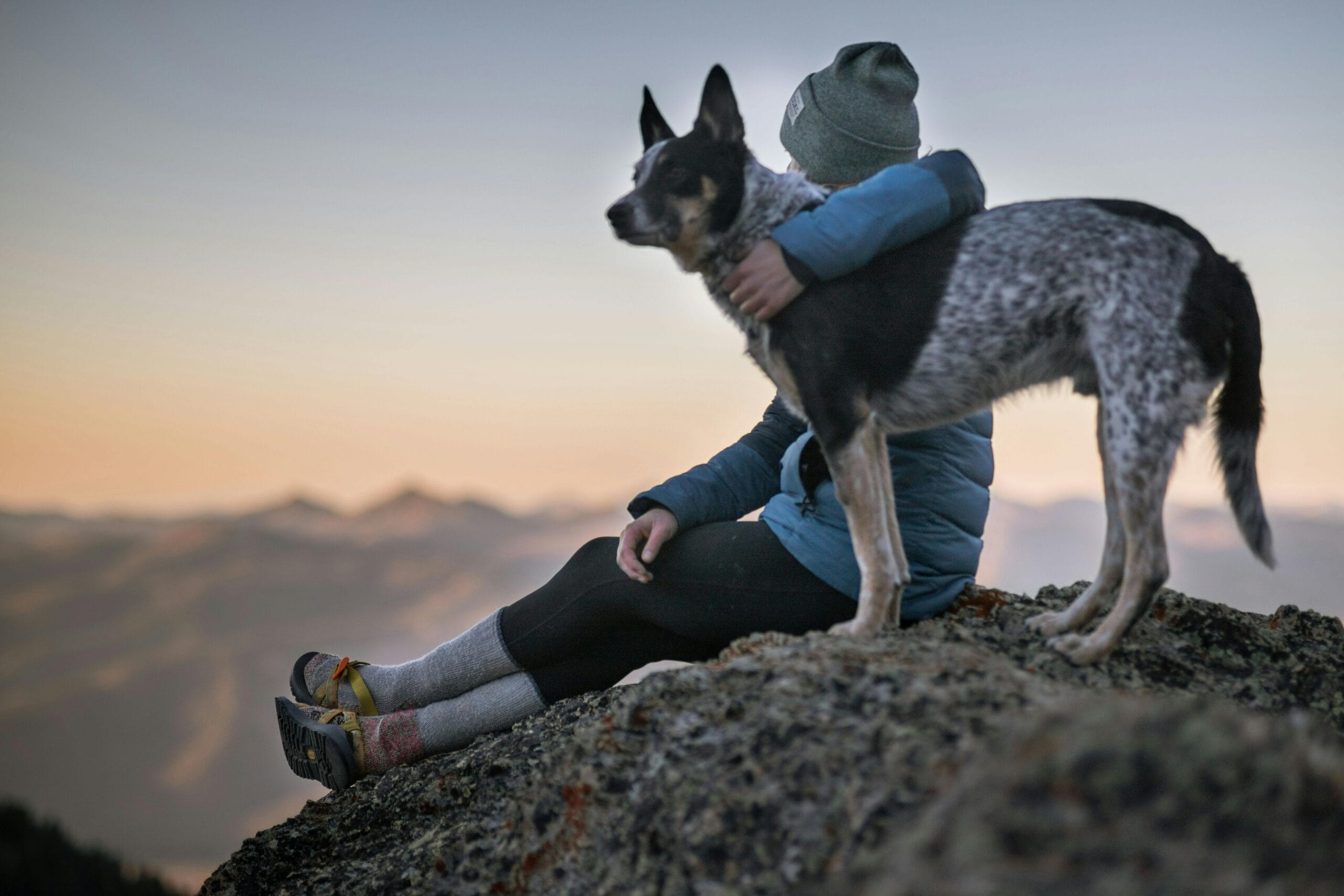 Adoptar una mascota no es la solución para la soledad, revela investigación 5 Un estudio húngaro revela que adoptar una mascota, especialmente un perro, no mejora el bienestar a largo plazo y puede aumentar la ansiedad.