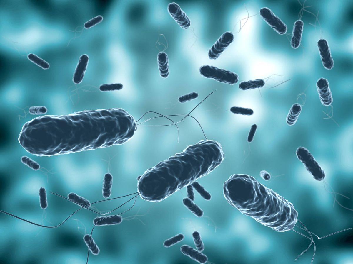 Autoridades vigilan tres posibles casos de cólera en el país 7 Autoridades vigilan tres posibles casos de cólera en el país