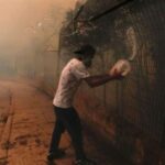 Tragedia en Chile: Incendios forestales dejan 19 muertos