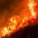 Incendios en Patagonia: Más de 4.000 hectáreas afectadas
