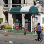 Cuba recurre a bueyes en el campo por la severa crisis de combustible