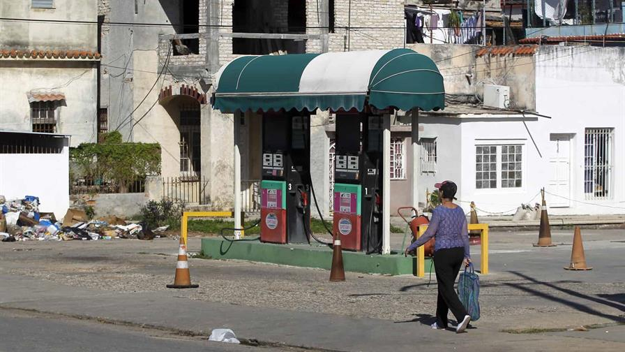 Cuba recurre a bueyes en el campo por la severa crisis de combustible