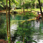 Dominicana paga RD$313.7 millones por terrenos de Hoyo Claro 3 Dominicana paga RD$313.7 millones por terrenos de Hoyo Claro