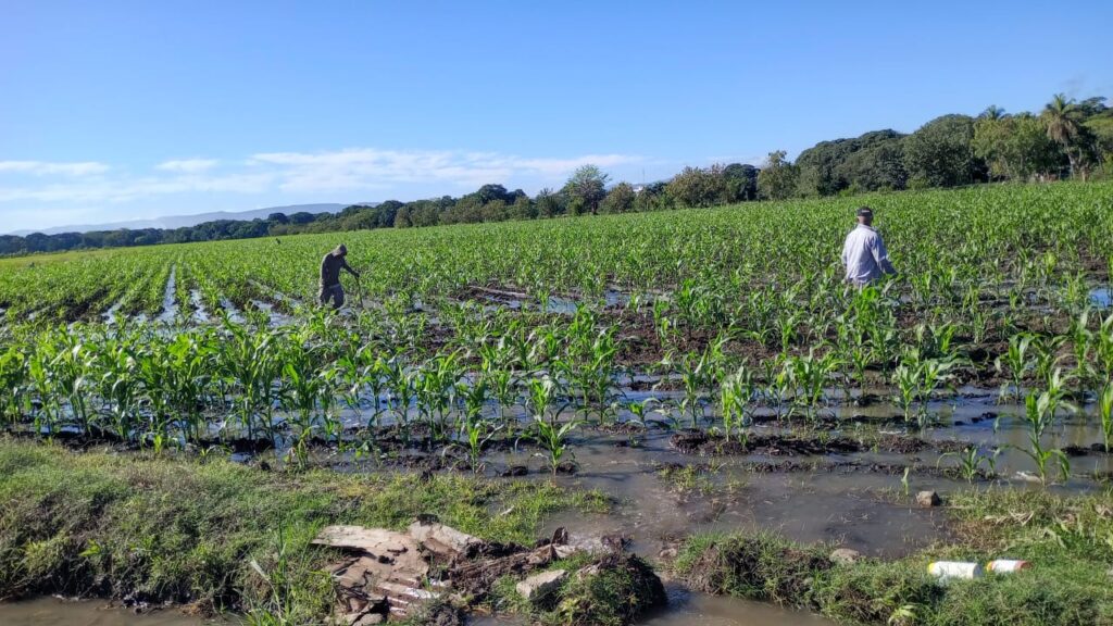República Dominicana ejecuta la más grande y efectiva ofensiva de erradicación del Trabajo Infantil