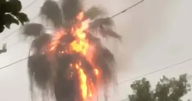 Incendio en vivienda de La Vega tras caída de palmera incendiada por rayo