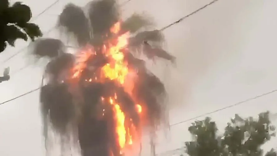 Incendio en vivienda de La Vega tras caída de palmera incendiada por rayo