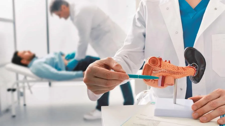 Noticias: 15 Investigación belga revela células inéditas en páncreas sano vinculadas al cáncer